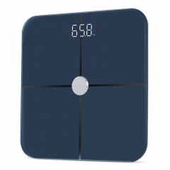 Popular Weighing BMI Smart Scale with app Digital Wireless Electronic ...