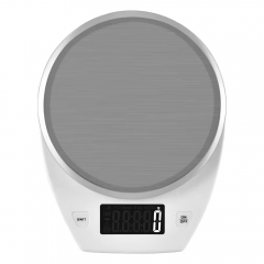 ZD-202 5Kg/1g Stainless Steel Electronic Kitchen Digital Scale With Backlight